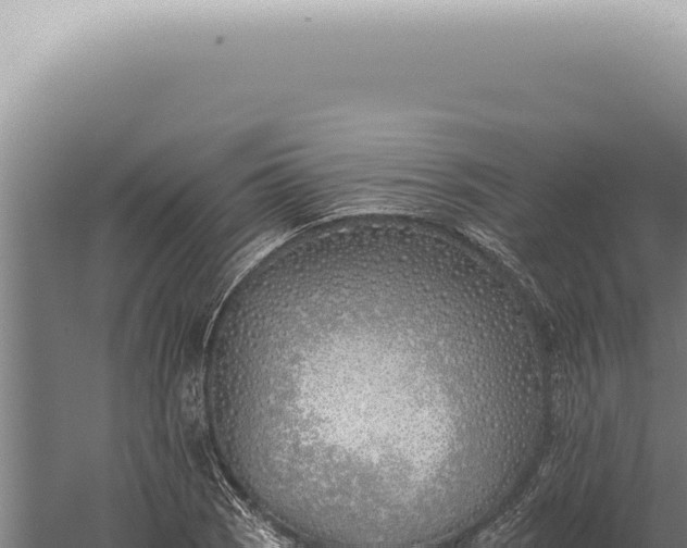 X0000059821121200510281724