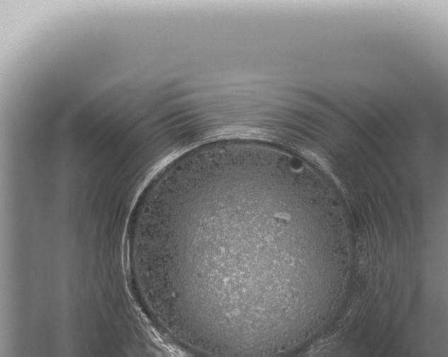 X0000059821125200510281724