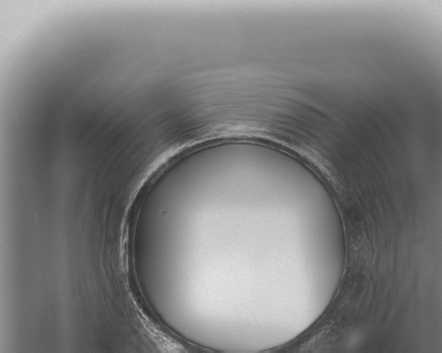 X0000059821126200510281724