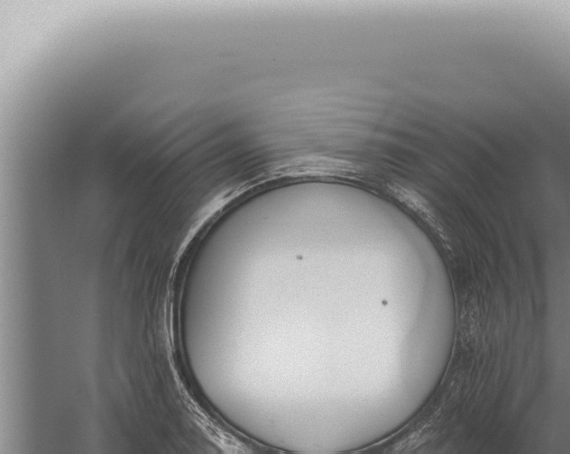 X0000059821130200510281724