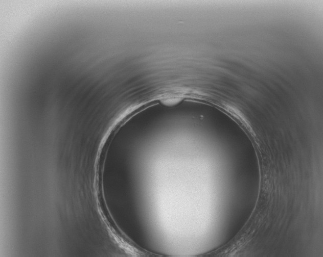 X0000059821136200510281724