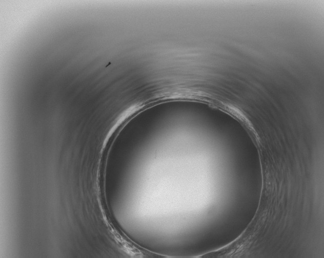 X0000059821138200510281725