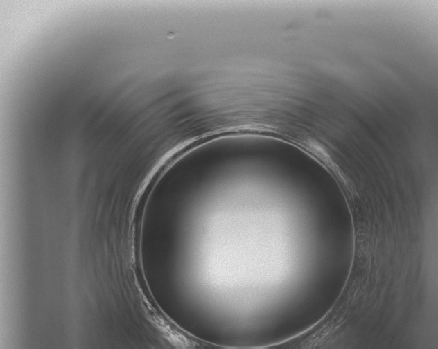 X0000059821140200510281725