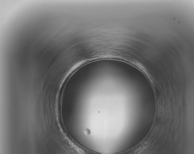 X0000059821142200510281725