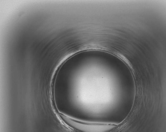 X0000059821144200510281725