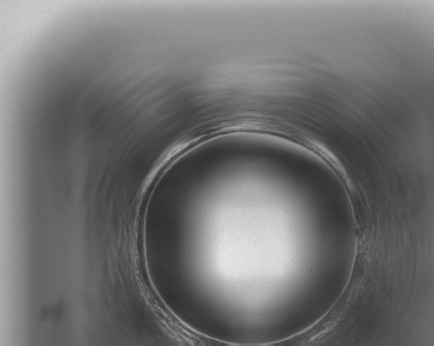 X0000059821146200510281725