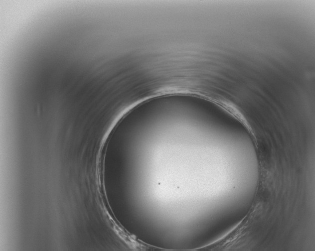 X0000059821148200510281725