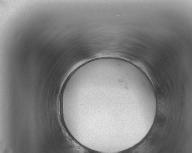 X0000059821150200510281725