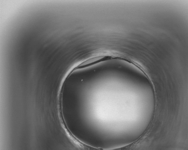 X0000059821152200510281725