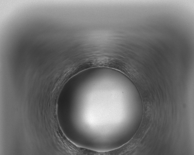 X0000059821153200510281724