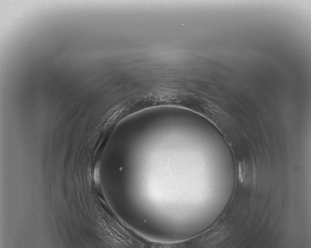 X0000059821155200510281724