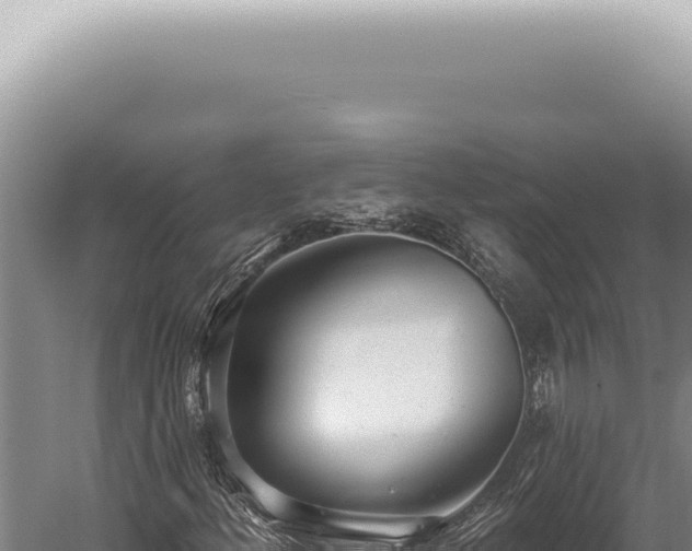 X0000059821156200510281724