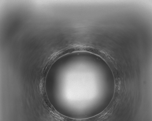 X0000059821157200510281724