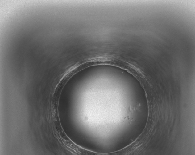 X0000059821160200510281724