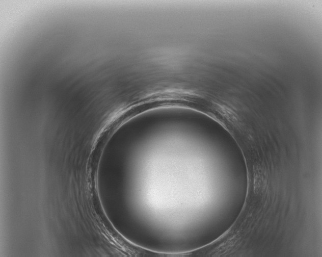 X0000059821164200510281724