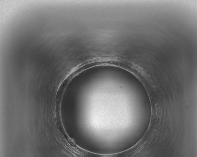 X0000059821165200510281724