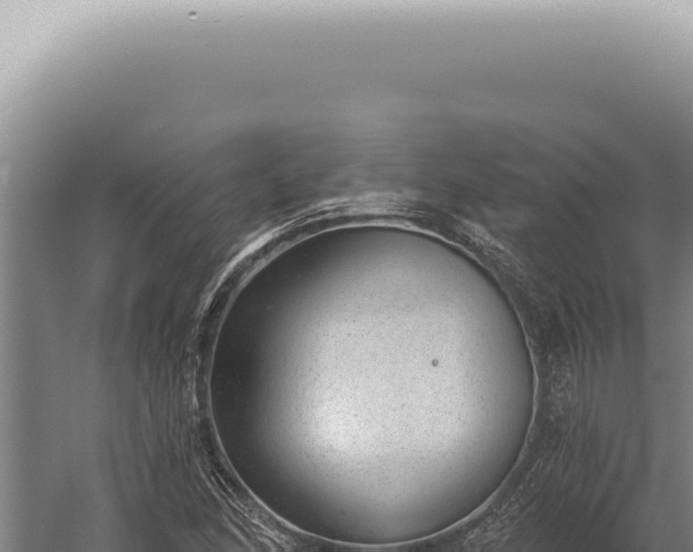 X0000059821166200510281724