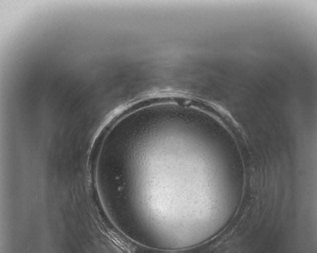 X0000059821167200510281724