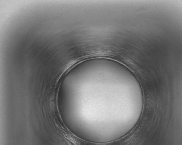 X0000059821170200510281724