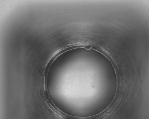 X0000059821171200510281724