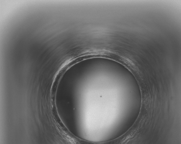 X0000059821172200510281724