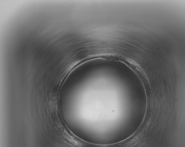 X0000059821177200510281724