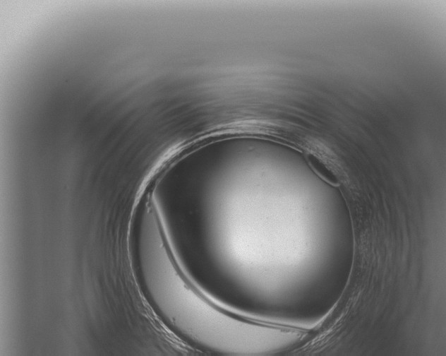 X0000059821180200510281723