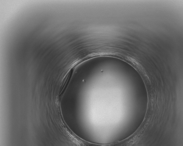 X0000059821185200510281723