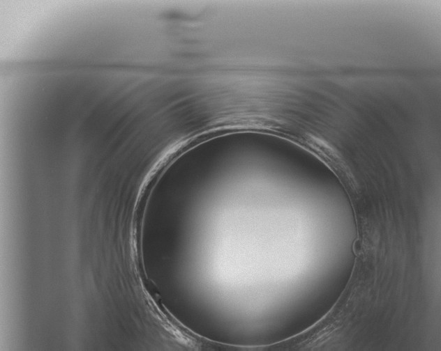 X0000059821188200510281723