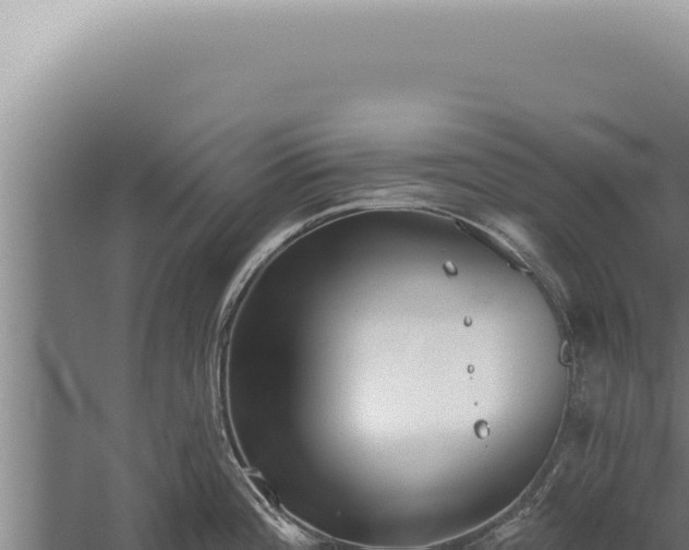 X0000059821196200510281723