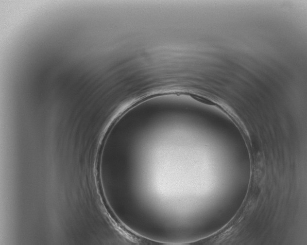 X0000059821197200510281723