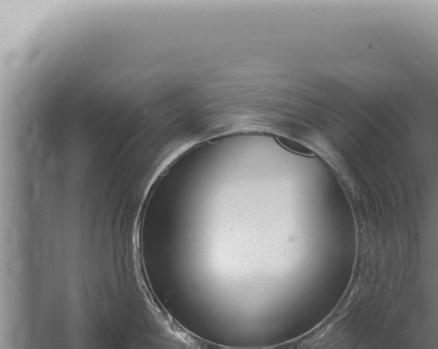 X0000059821198200510281723