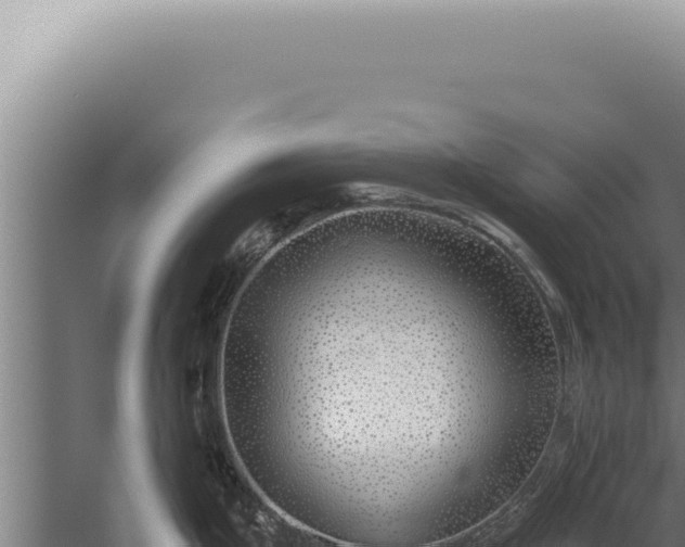 X0000059821199200510281723