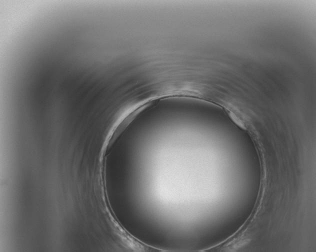 X0000059821200200510281723