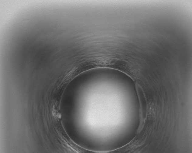 X0000059821202200510281722