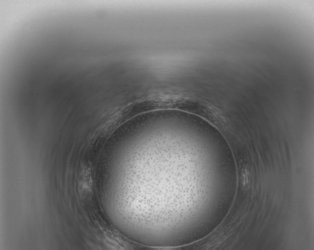 X0000059821204200510281722