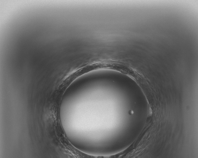 X0000059821206200510281722