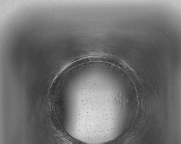 X0000059821208200510281722