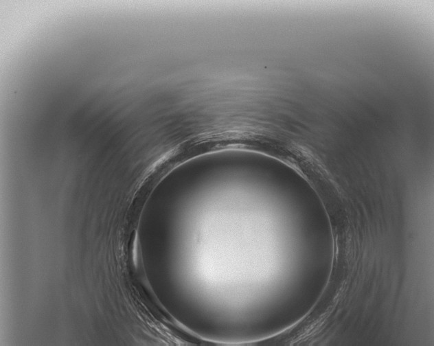 X0000059821210200510281722