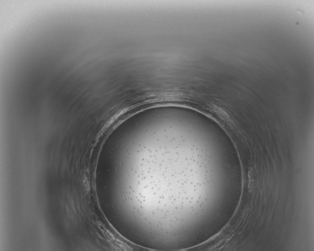 X0000059821212200510281723