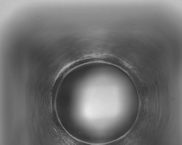 X0000059821214200510281723