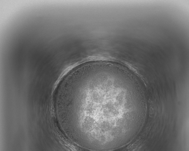 X0000059821215200510281723