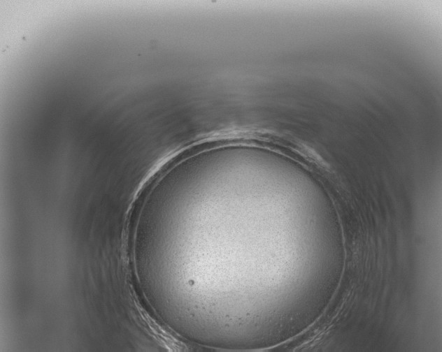 X0000059821216200510281723