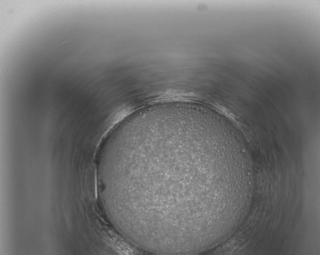 X0000059821219200510281723