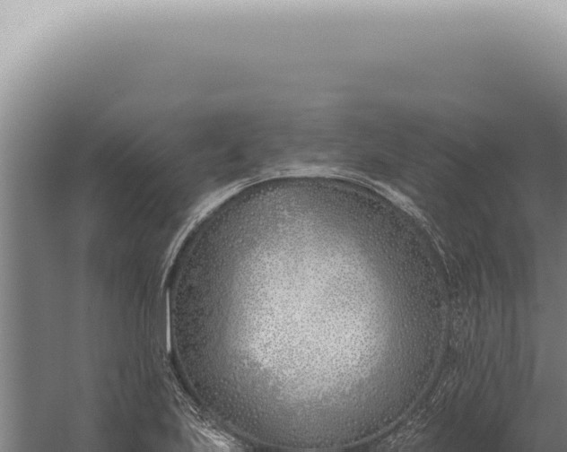 X0000059821223200510281723