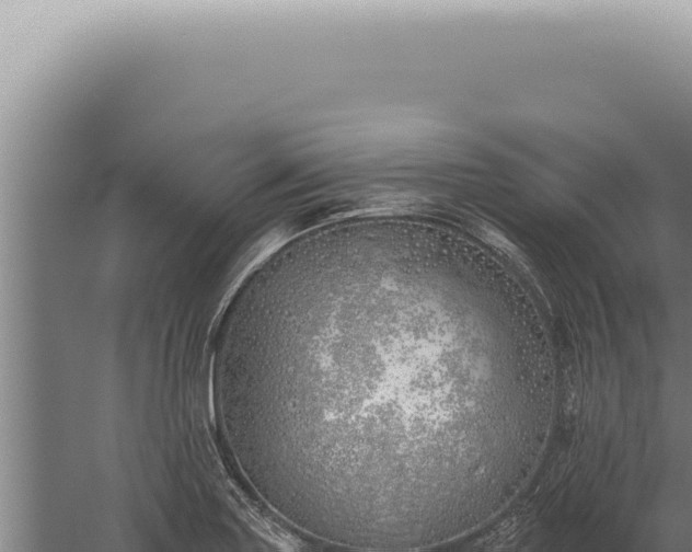 X0000059821227200510281723