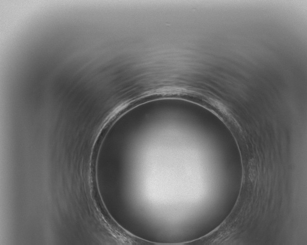 X0000059821229200510281723