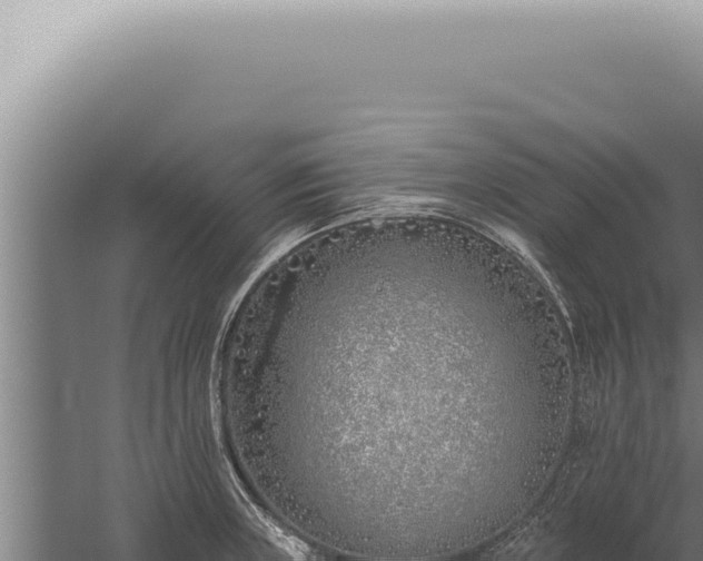 X0000059821235200510281723