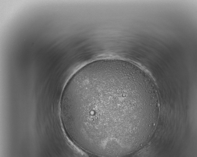 X0000059821239200510281723