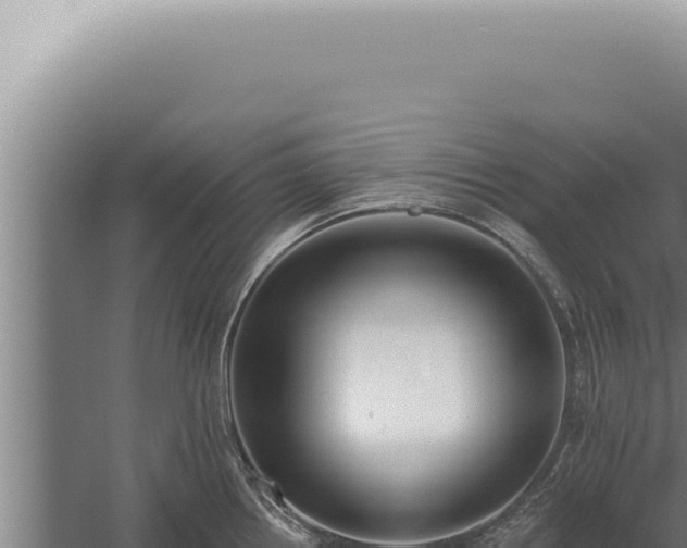 X0000059821242200510281723